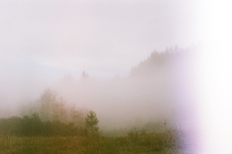 Foggy landscape photograph from a styled campaign shoot.